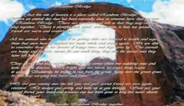 The Rainbow Bridge

Just this side of heaven is a place called Rainbow Bridge. When an animal dies that has been especially close to someone here, that pet goes to Rainbow Bridge. There are meadows and hills so that they may run and play together. There is plentiful food, water, and sunshine so that our special friends are warm and comfortable.

All the animals who have been ill or getting older are restored to health and vigor; those that were hurt or maimed are made whole and strong again. We are able to remember them in our dreams of happy times and days gone by. The animals are happy and content, except for one small thing; they miss the special ones they have left behind.

They all run and play together, but the day comes when one suddenly stops and looks into the distance. His bright eyes are intent; his eager body begins to quiver. Suddenly, he begins to run from the group, flying over the green grass, his little legs carrying him faster and faster.

He sees you coming over the hill; you and your special friend are once again reunited. He nudges you gently and looks up at you lovingly. Your pet, your special friend, your loved and precious one has been gone so long but never absent from your heart.

And it is then that you cross the Rainbow Bridge together.