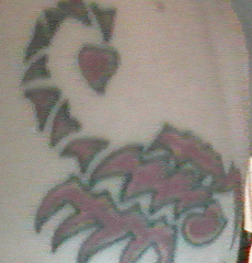 im capicorn but goats suck