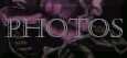 Photos Button