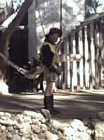 The begining of the final Dragon Attack Stunt Show....