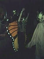 A dancing butterfly at the Spoonfed Tribe show.