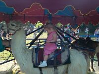 Stormy got a llama ride.