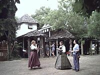 Back To The Garden Shoppe