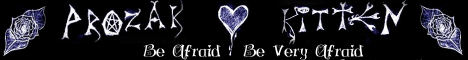 Prozac Kitten