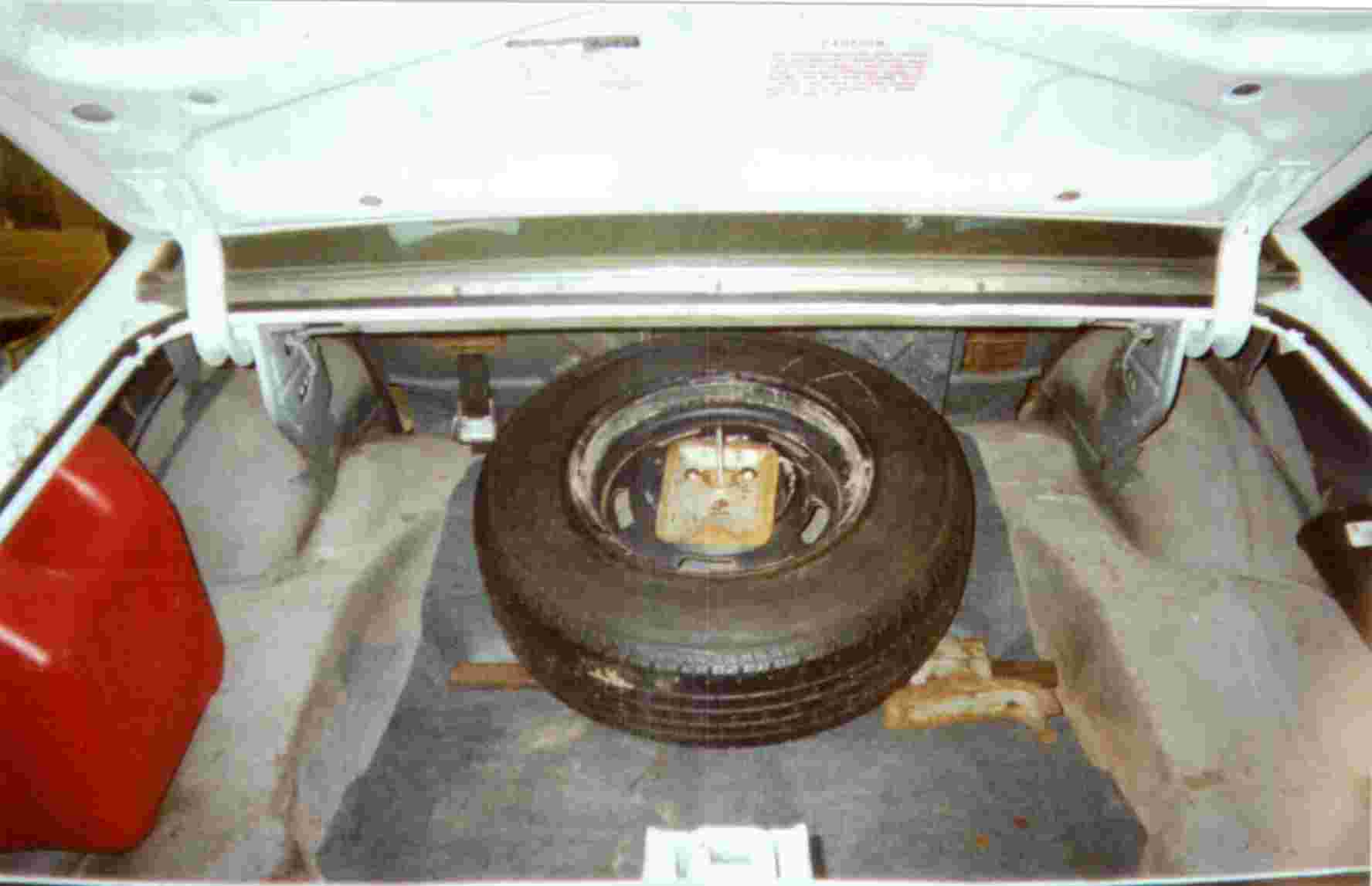 trunkfinished.jpg (31731 bytes)