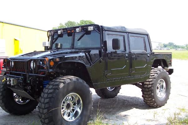 One cool hummer!!!