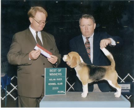 pupty.jpg (58806 bytes)