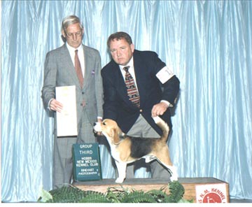 Joey.jpg (48376 bytes)