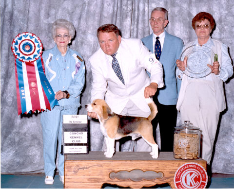 Joeybis.jpg (48376 bytes)