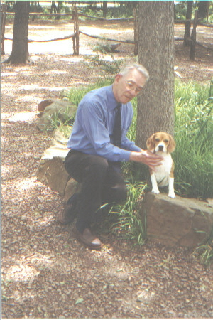 angepark2.jpg (50739 bytes)