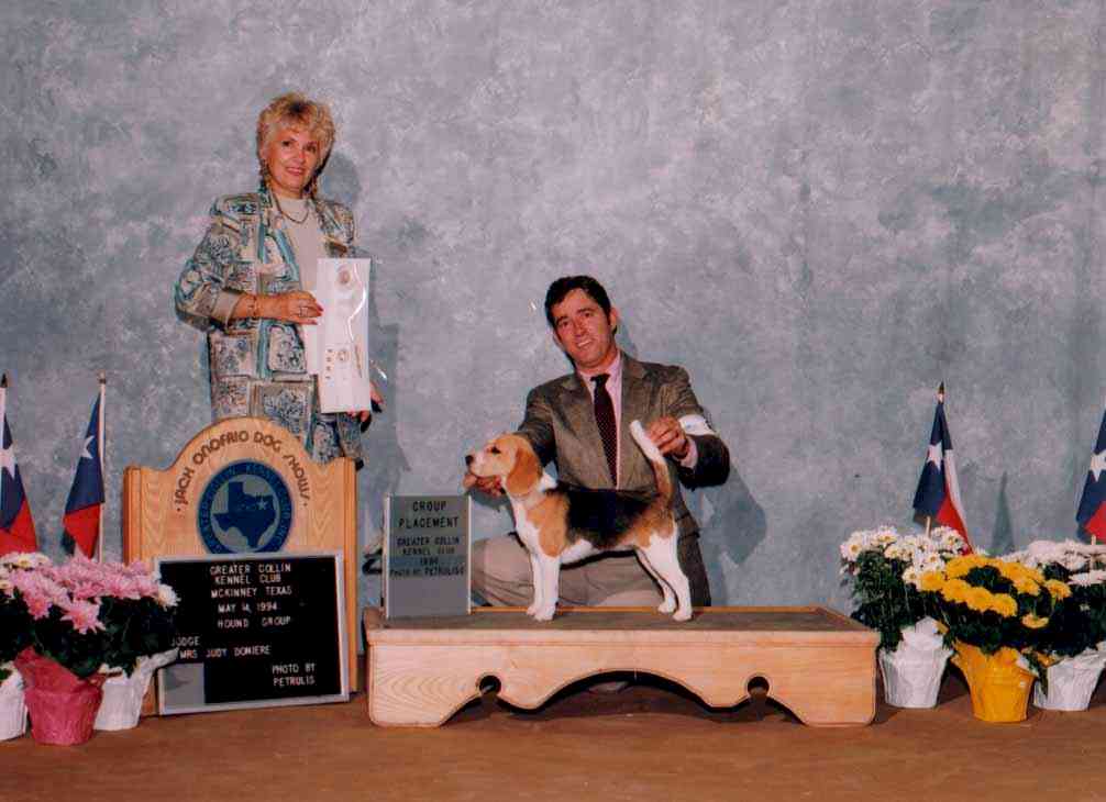 catalinaweb.jpg (50739 bytes)