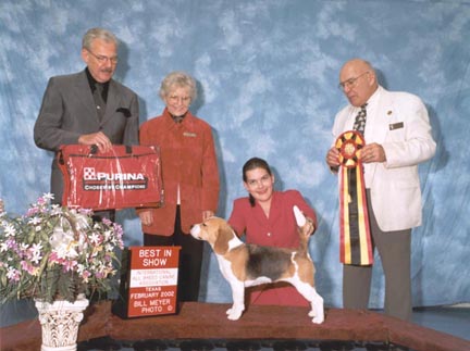 catalinaweb.jpg (50739 bytes)