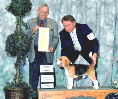 joeyweb.jpg (48376 bytes)