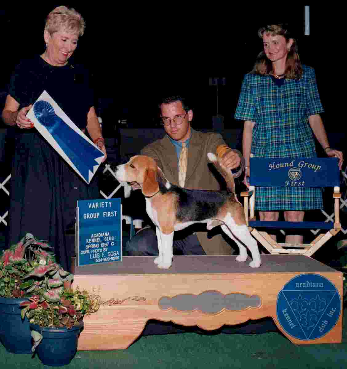 obieweb.jpg (46859 bytes)