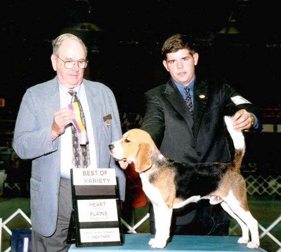 rufus88.jpg (50739 bytes)