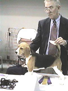 tinabob.jpg (50739 bytes)