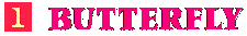 Butterfly