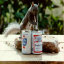 That's one smart squirrel