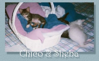 Chico & Sheba
