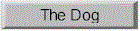 The Dog
