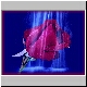 Rose1.bmp