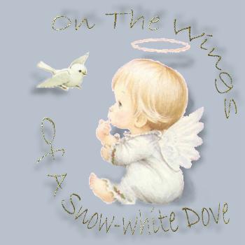 On the Wings of a Snow White Dove graphic