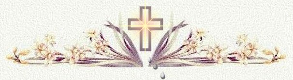 graphics by wizwebsitedesign