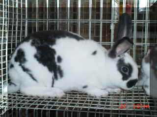 Mvc-245e.jpg (12125 bytes)