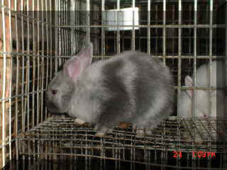 Mvc-248e.jpg (10865 bytes)