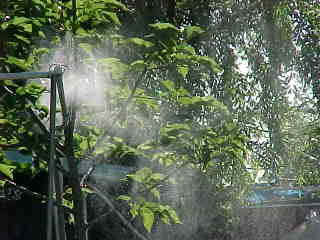 Mvc-253e.jpg (12078 bytes)