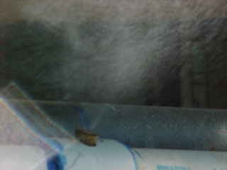 Mvc-254e.jpg (4717 bytes)