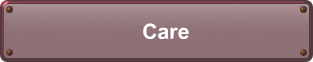 Care
