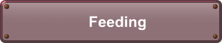 Feeding