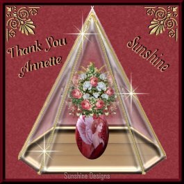 A thank you gift from Sunshine