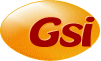 gsi.gif (5499 bytes)