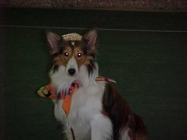 bebe.JPG (18450 bytes)