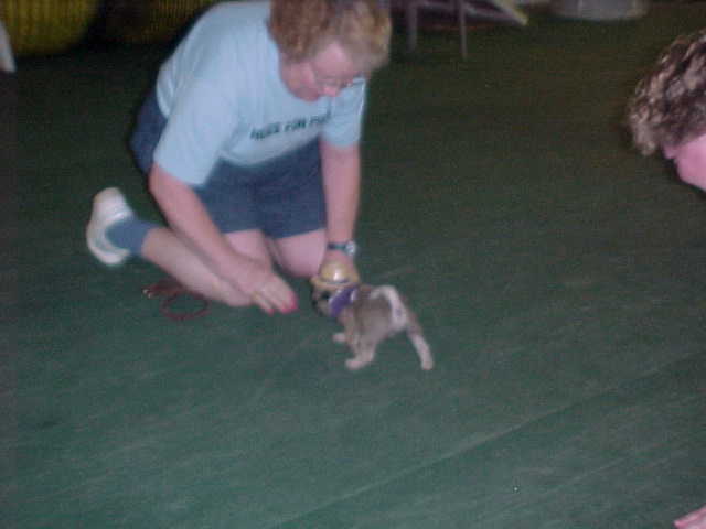 dillan4.JPG (18323 bytes)