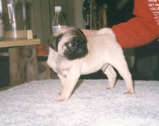 smitty.jpg (16525 bytes)