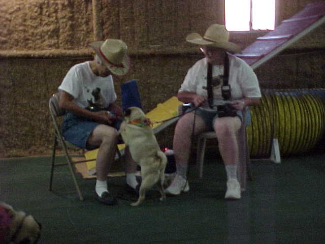 thunder.JPG (29628 bytes)