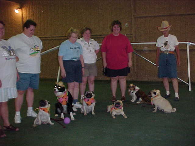 together.JPG (27567 bytes)