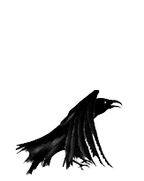 left_raven