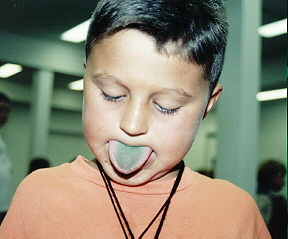 mc01_26.jpg (37003 bytes)