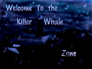 the killer whale shamu zone