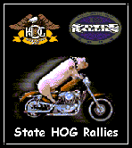 go to Texas State H.O.G. Rally