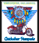 go to QuickSilver Stampede Rally