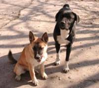 Buffy and Jack - March 10