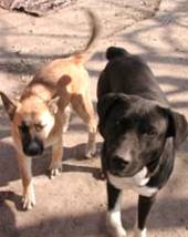 Buffy and Jack - March 10