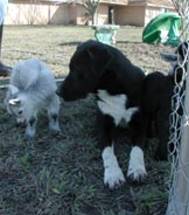 Jack and Pearl - March 10