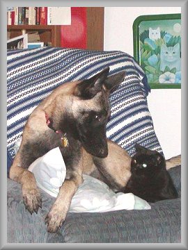 Kelci and Dixie Belle