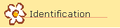 Identification